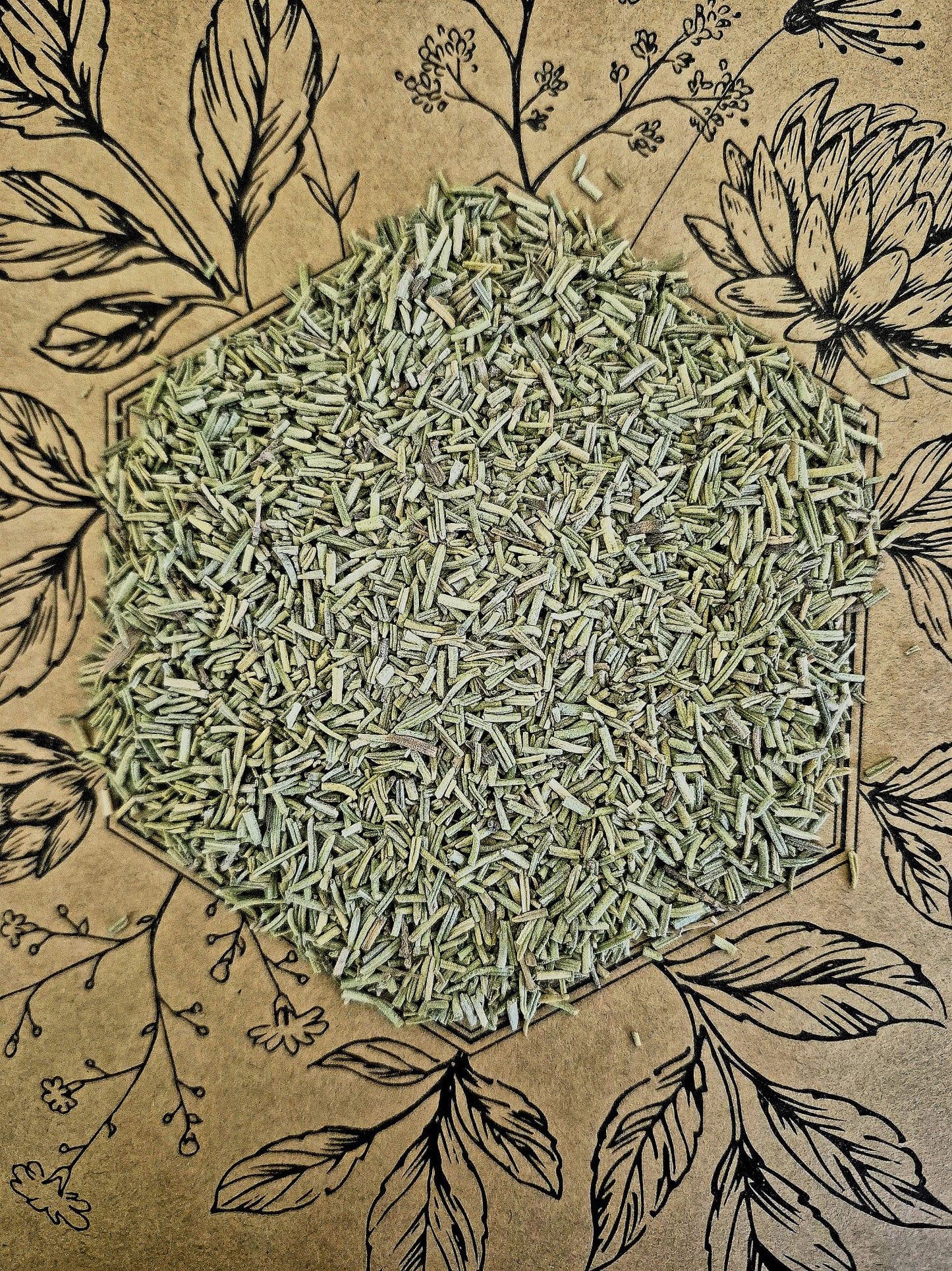 Bio Rosmarin geschnitten von Hofkraut von oben fotografiert in Nahaufnahme