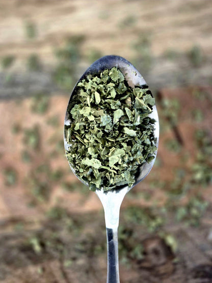 Bio Frauenmantelkraut geschnitten von Hofkraut in Nahaufnahme auf einem Löffel